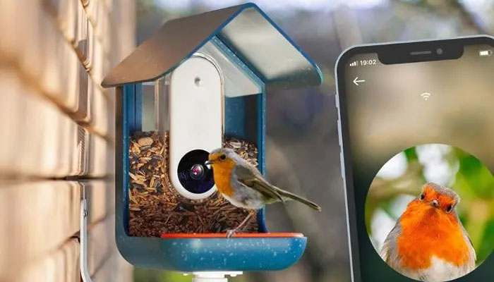 智能鸟类喂食器使用方法及注意事项